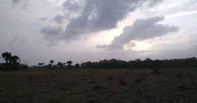 De herpetologie van Trinidad en Tobago: Herping in Trinidad en Tobago (deel 1): milieugevoelige gebieden